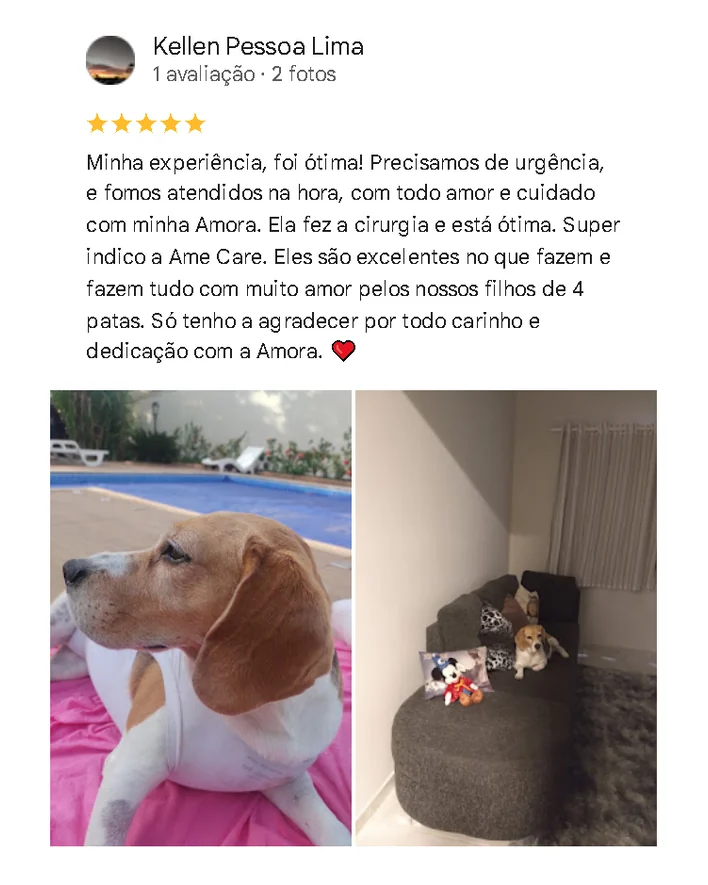 Avaliação de cliente no Google sobre a Amecare