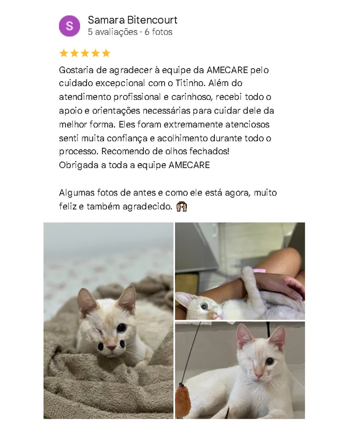 Avaliação de cliente no Google sobre a Amecare