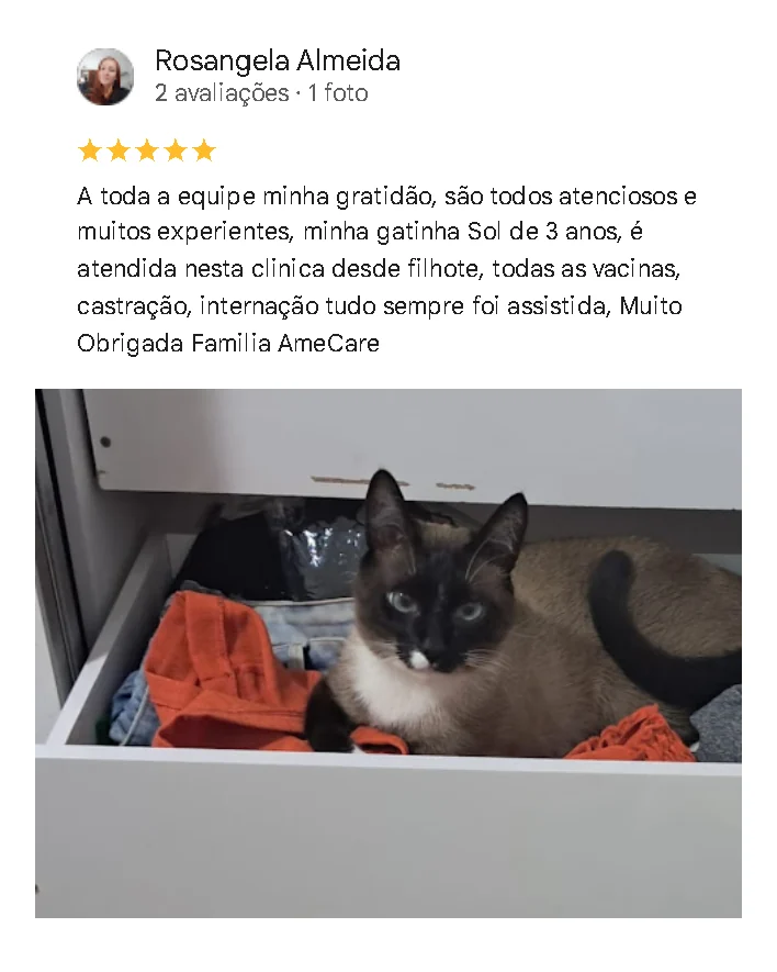 Avaliação de cliente no Google sobre a Amecare