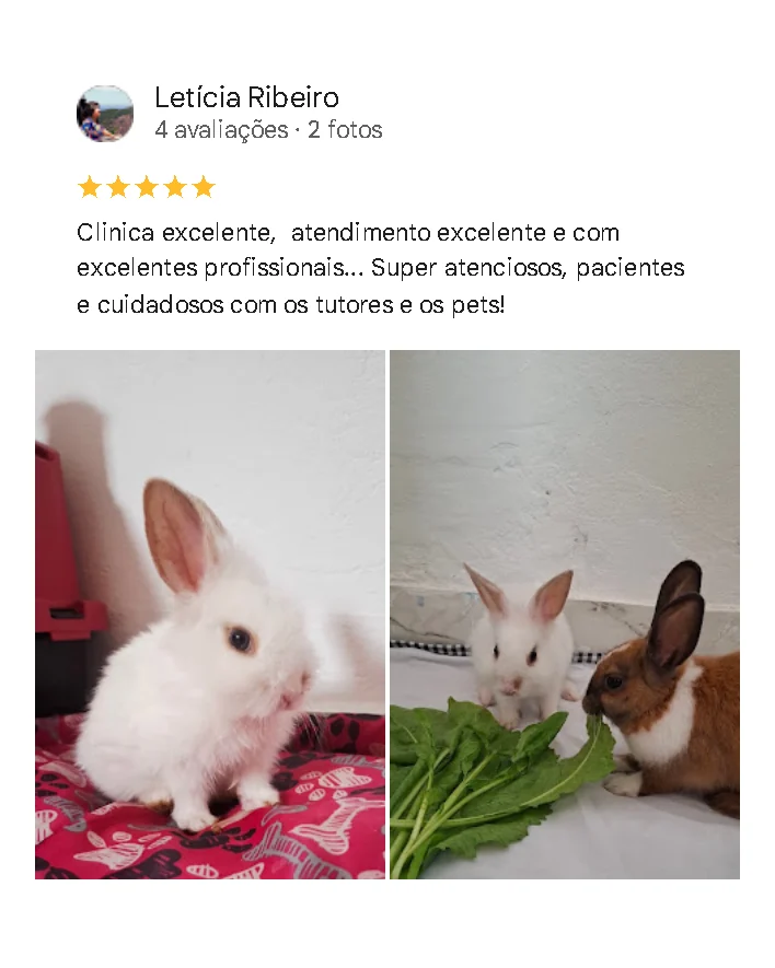Avaliação de cliente no Google sobre a Amecare