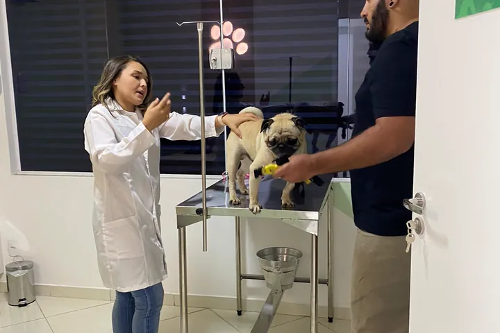 Veterinária da Amecare examinando um cão com o tutor